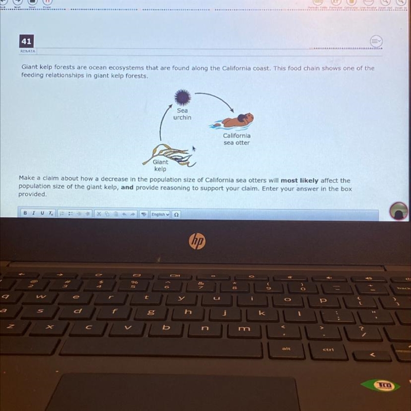 Help!! i will give brainluest to the right answer-example-1