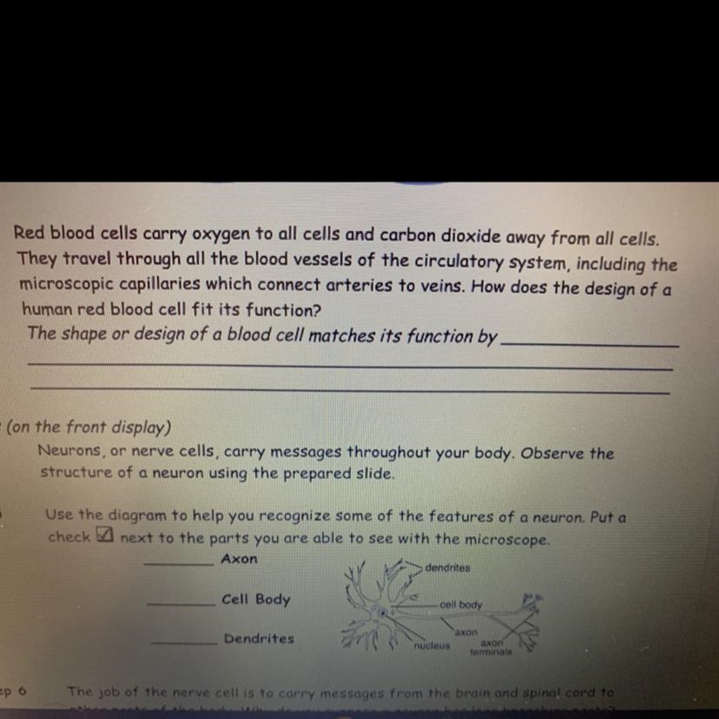 Red blood cells carry oxygen to all cells and carbon dioxide away from all cells. They-example-1