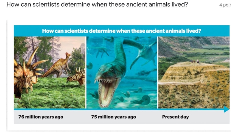 How can scientists determine when these ancient animals lived?-example-1