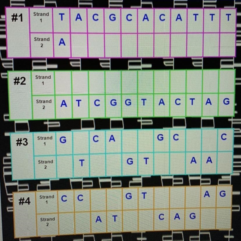 PLEASE HELP!!! DNA BASE PAIRS & CONSTRUCTION Create the complementary strand of-example-1