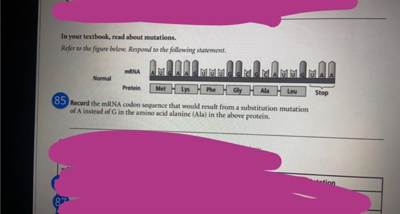 Read the question and type out the mRNA codon that would result. (make sure to capitalize-example-1