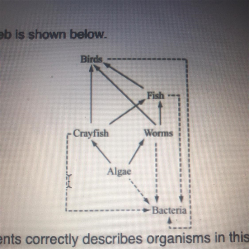 Which of the following statements correctly describes organisms in this food web?-example-1