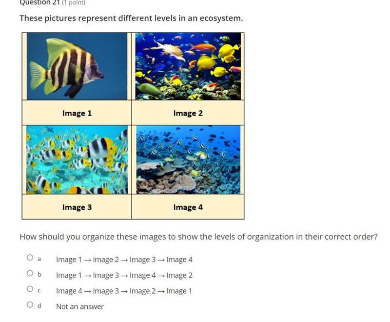 Which one is it I am confused A,B,C or D-example-1