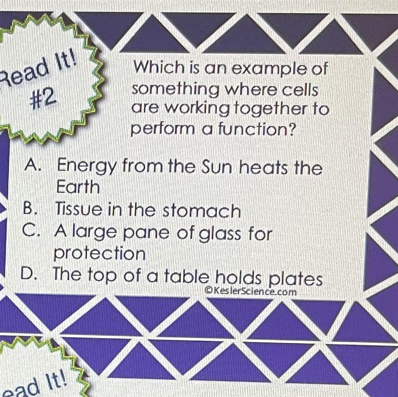 Read #2 Which is an example of something where cells are working together to perform-example-1