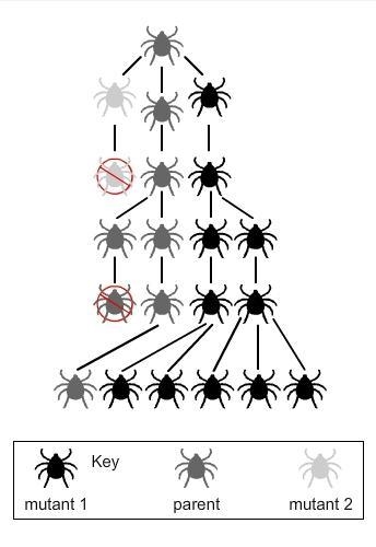 Do you think any of the mutations could have been harmful for the beetles’ survival-example-1