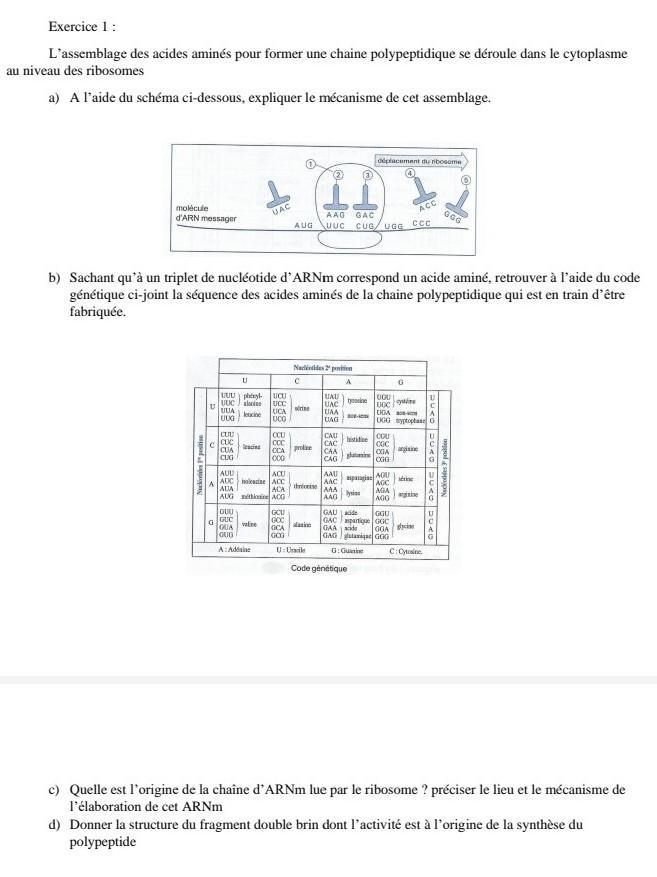 What are the answers?​ plzz help-example-1