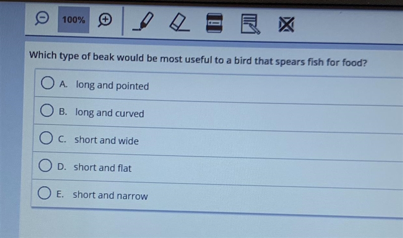 Which type of beak would be most useful to a bird that spears fish for food? A. long-example-1