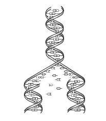 A DNA s equence has mutated from – AAG G CA TTC - t o the sequence of – AAG GCT ATT-example-1