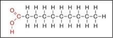 Refer to the illustration above. What biomolecule is this? Group of answer choices-example-1