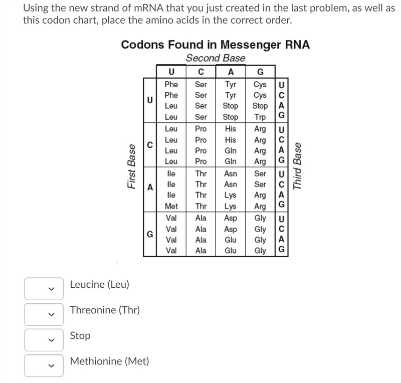 Using the new strand of mRNA that you just created in the last problem, as well as-example-1