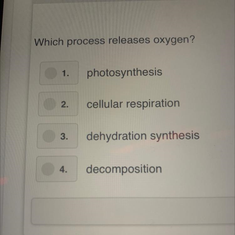 Which process releases oxygen? 1. photosynthesis 2. cellular respiration 3. dehydration-example-1