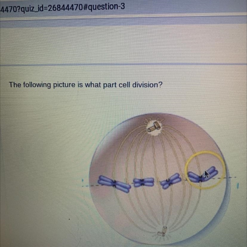 The following picture is what part cell division?-example-1