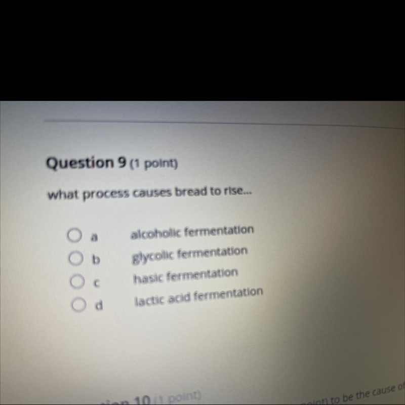 What process causes bread to rise... a.alcoholic fermentation b.glycolic fermentation-example-1