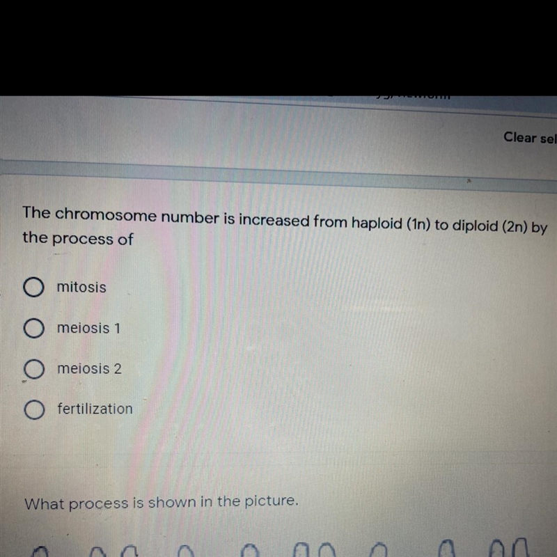 PLEASE HELP WITH THIS QUESTION-example-1