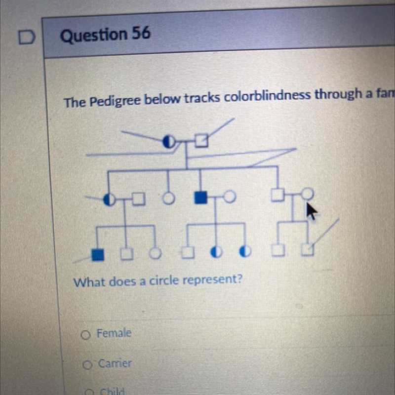 The Pedigree below tracks colorblindness through a family. What does a circle represent-example-1