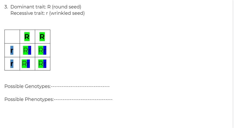 What is the possible Genotypes and the Possible Phenotypes-example-1