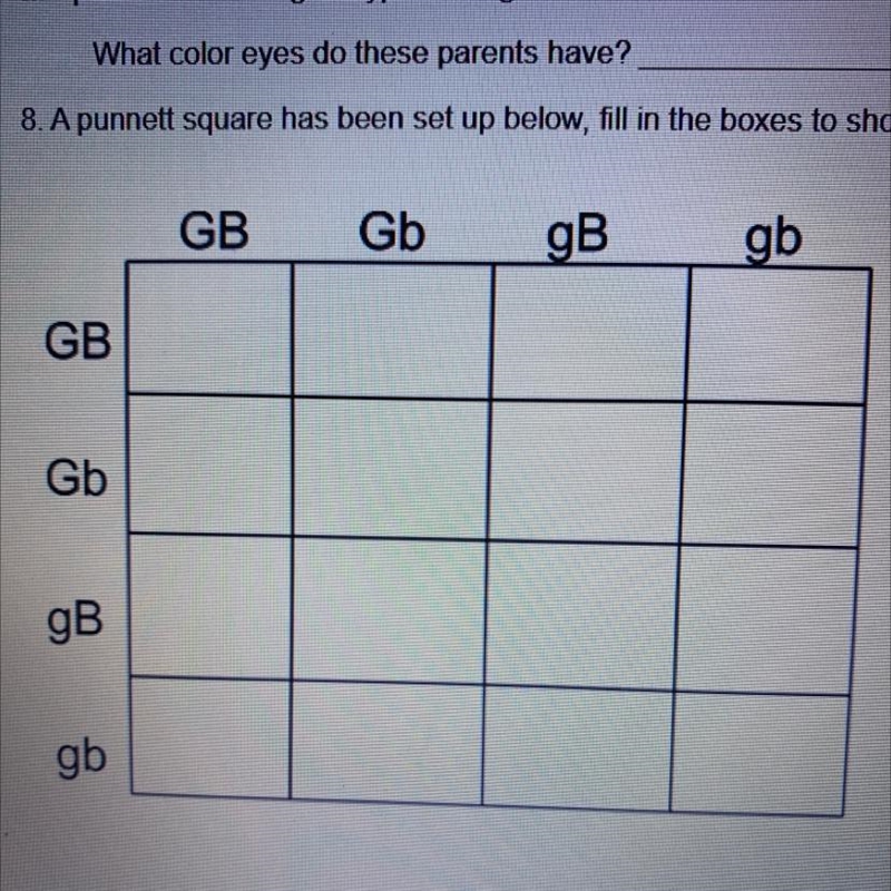 8. A punnett square has been set up below, fill in the boxes to show the possible-example-1