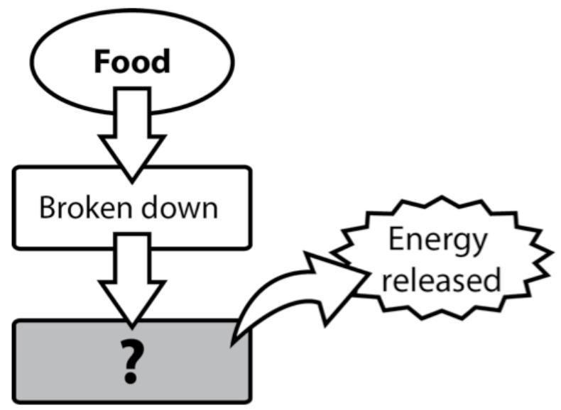 The diagram provided is an incomplete concept map for the process plants use to get-example-1