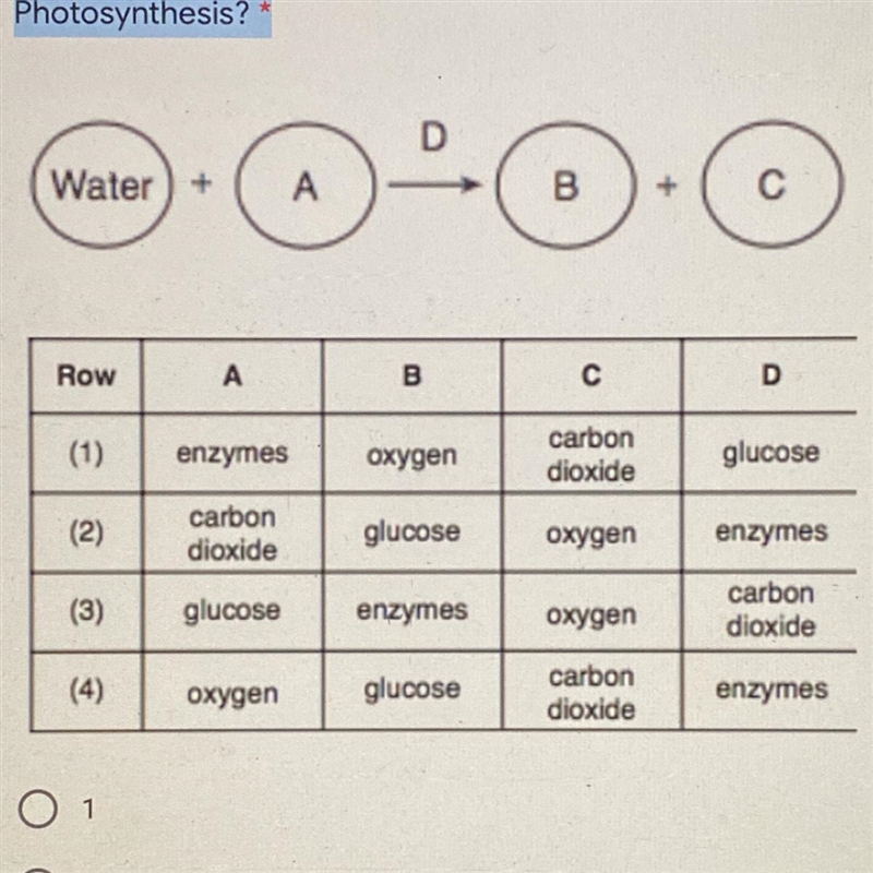 Which of the following best represents the correct sequence of letters in Photosynthesis-example-1