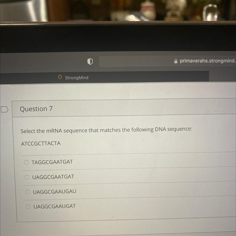 Select the sequence that matches the following DNA sequence?!-example-1