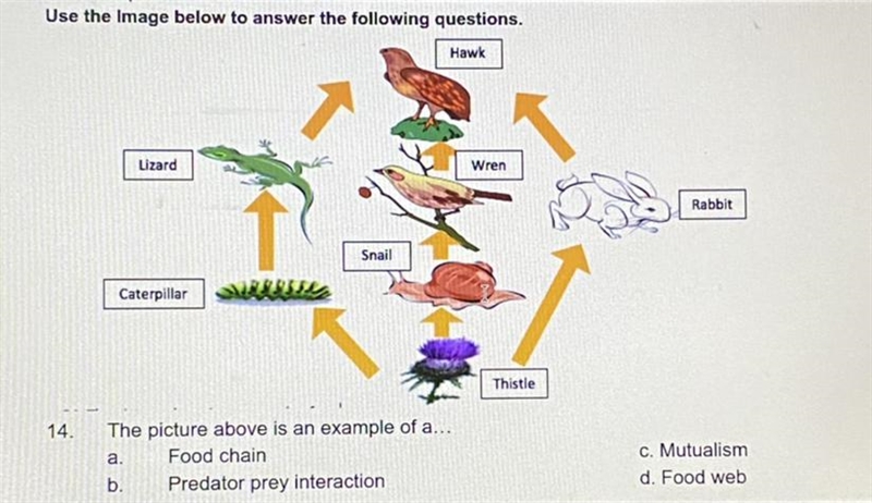 Someone please help me on my last question!!!!-example-1