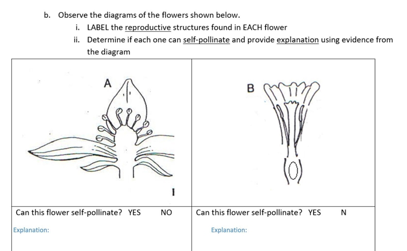 Please help!!! I don't know how to tell if they self pollinate or not.-example-1