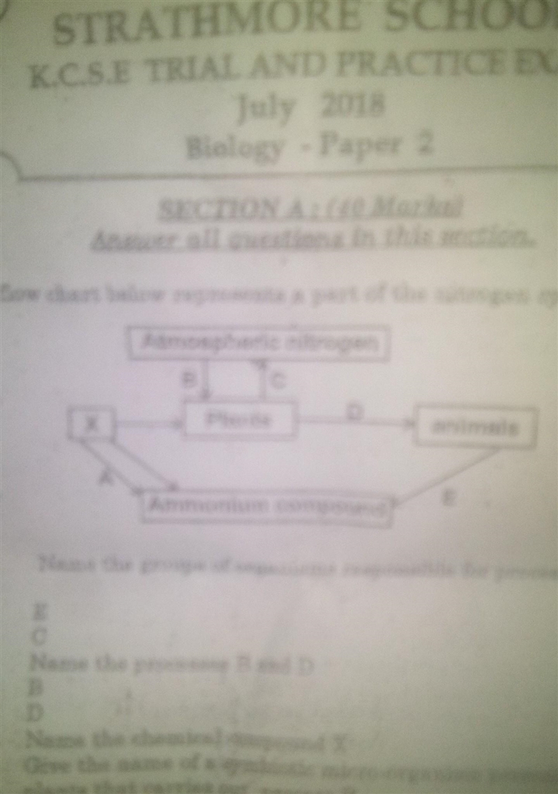 How are various components of the blood adapted to function​-example-1