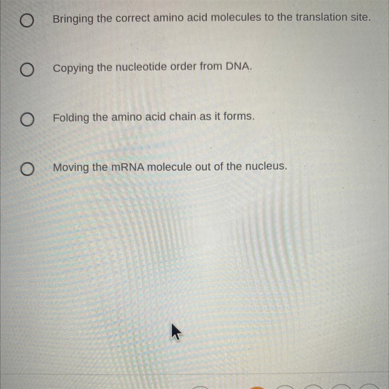 What is the function of tRNA in translation?-example-1