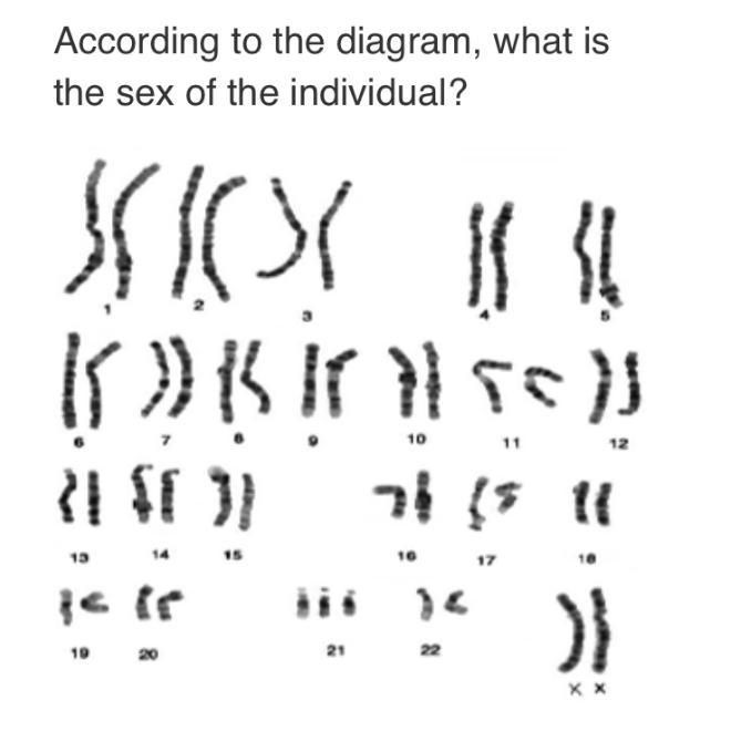 A. Female B. Male C. Female and male D. Cannot be determined-example-1