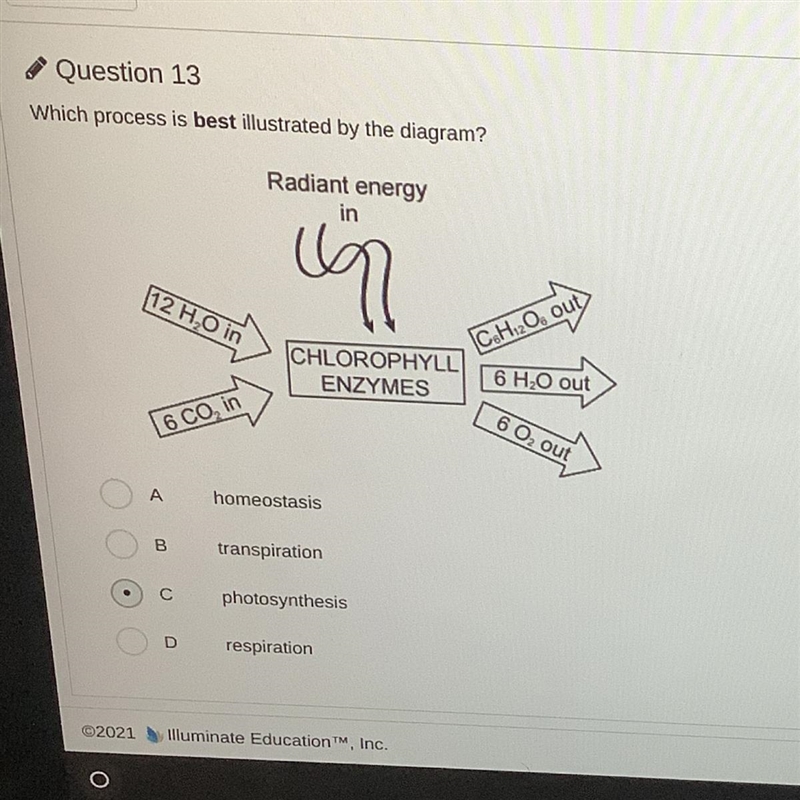 Anyone know this? Not sure if my answer is right-example-1