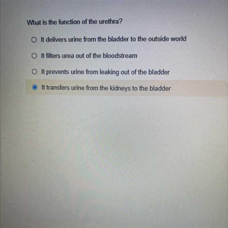 What is the function of the urethra?-example-1