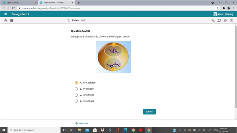 What phase of mitosis is shown in the diagram..? (Please can anyone help me out0-example-1