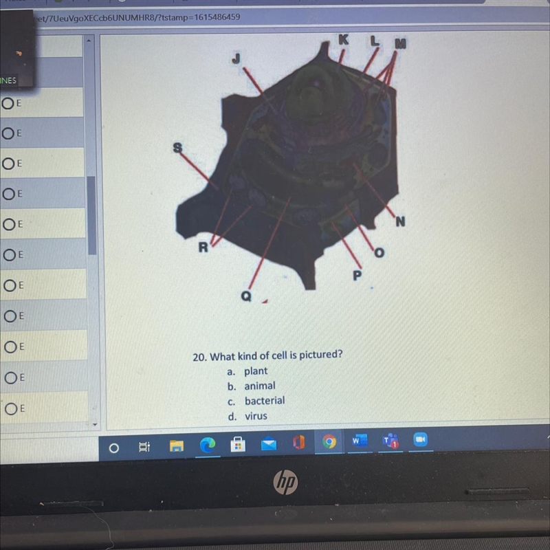 What cell is this help-example-1