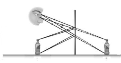 Explain the phenomenon you observe in the diagram. Provide as many details as possible-example-1