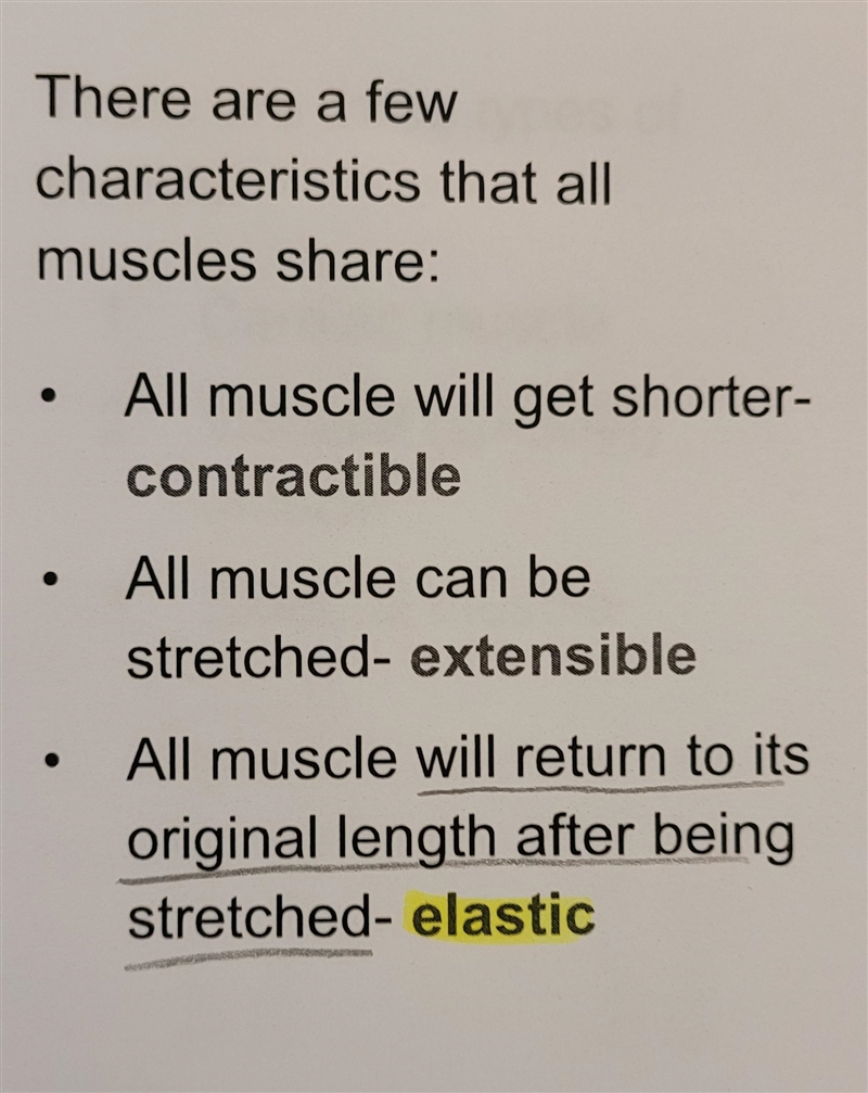 Why does a muscle return to its original length after being stretched? *It is elastic-example-2