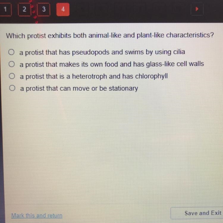 Which protist exhibits both animal-like and plant-like characteristics? a protist-example-1