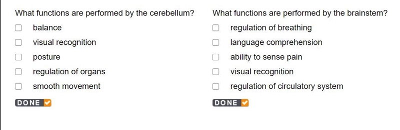 What functions are performed by the cerebellum? balance visual recognition posture-example-1