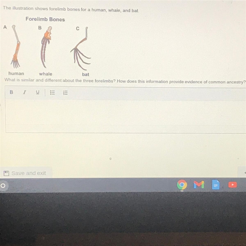 ANSWER QUICK PLEASE !!! what is similar and different about the three forelimbs ? How-example-1