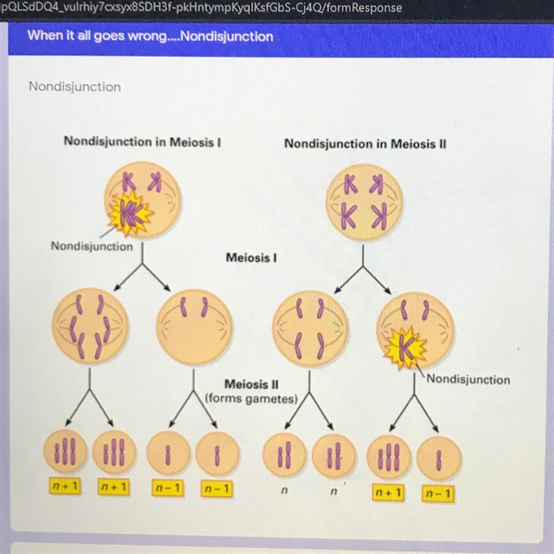 Use the diagram to come up with YOUR OWN DEFINITION of nondisjunction-example-1