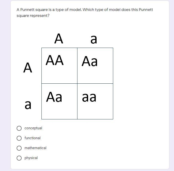 A Punnett square is a type of model. Which type of model does this Punnett square-example-1