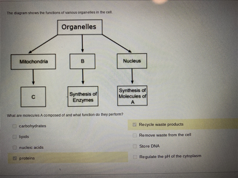 The answers that I selected were wrong so I’m confused. What are the answers-example-1