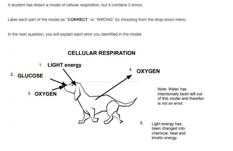 Which part is correct or wrong-example-1