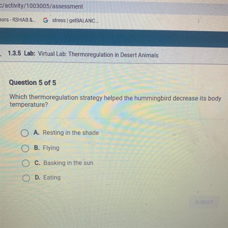 Question 5 of 5 Which thermoregulation strategy helped the hummingbird decrease its-example-1