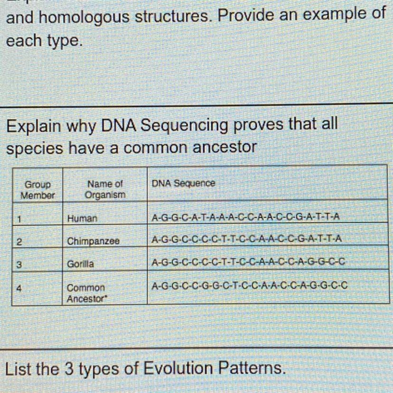 Explain why DNA Sequencing proves that all species have a common ancestor-example-1