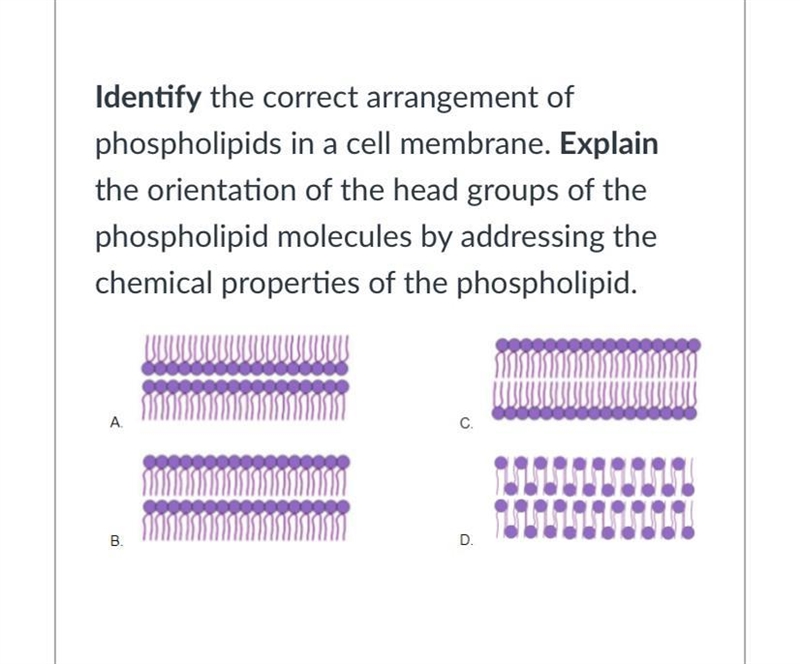 PLSS HELP WITH THIS I NEED HELP-example-1