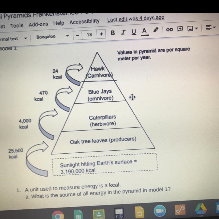 What is the source of all energy in the pyramid in model 1?-example-1