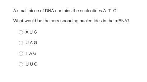 What is the correct answer???-example-1