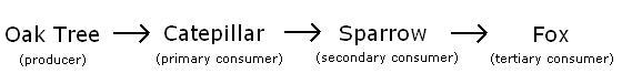 Models are often used to explain scientific knowledge or experimental results. A model-example-1