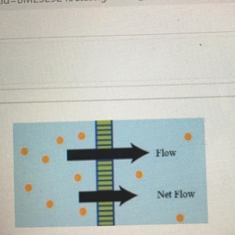 Describe the movement of molecules in the illustration-example-1