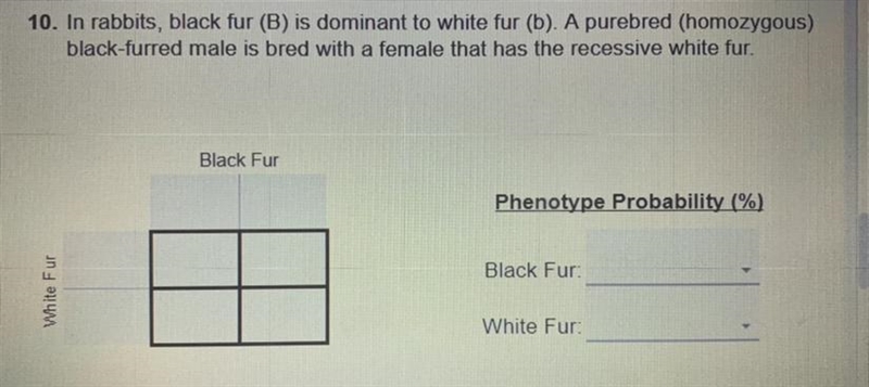 PLEASE HELP IVE BEEN ON THIS QUESTION FOR 30 mins-example-1